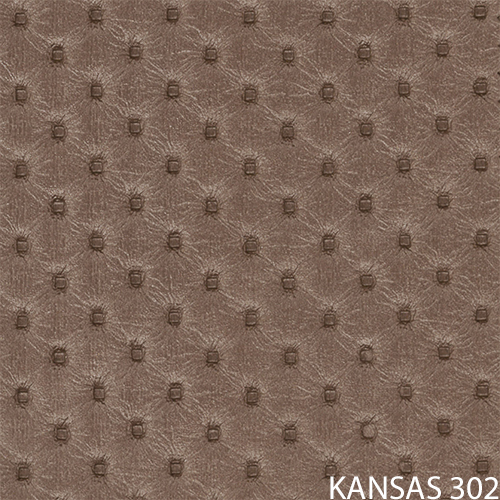 kansas 302_popis